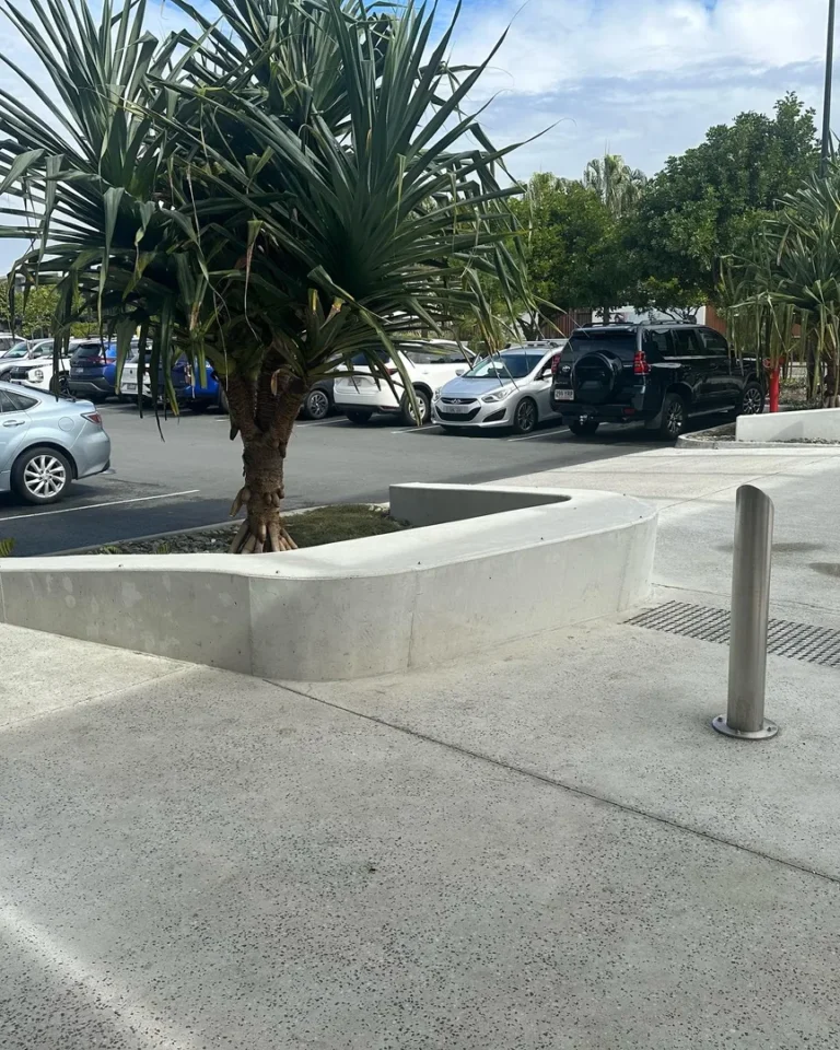 Parking lot with palm tree and cars