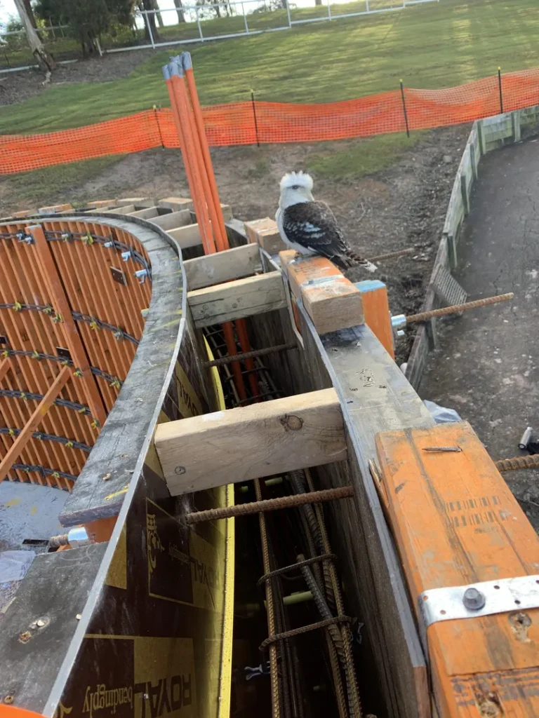 Bird perches on construction framework at site.