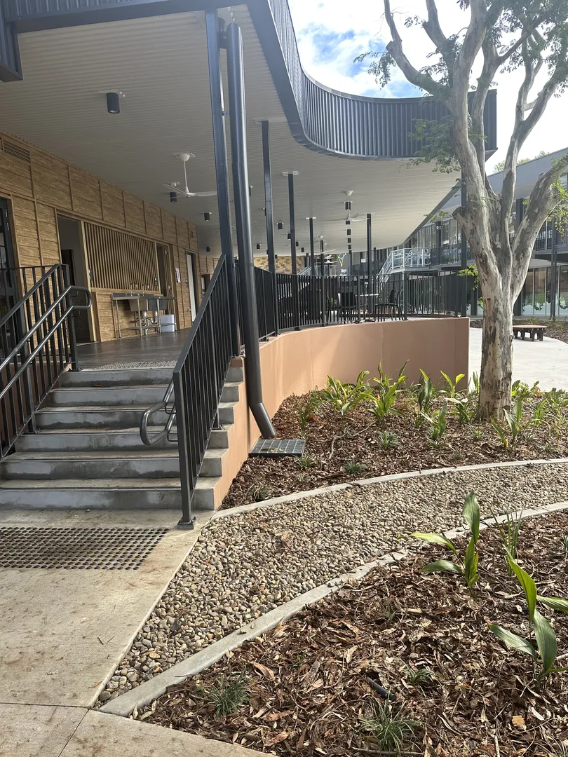 Outdoor area with stairs and plants.